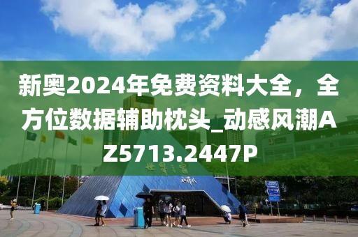 新奧2024年免費(fèi)資料大全，全方位數(shù)據(jù)輔助枕頭_動(dòng)感風(fēng)潮AZ5713.2447P